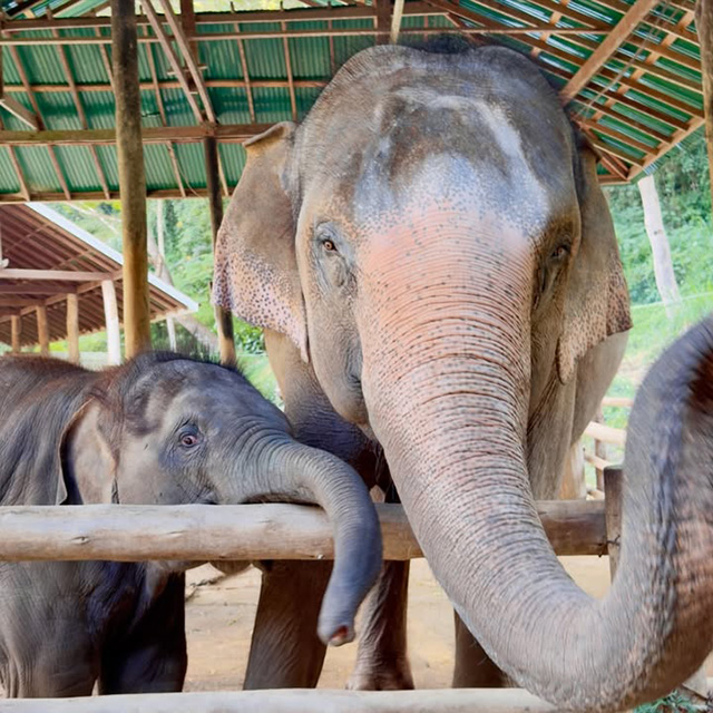 NUS College Impact Experience team’s photobook